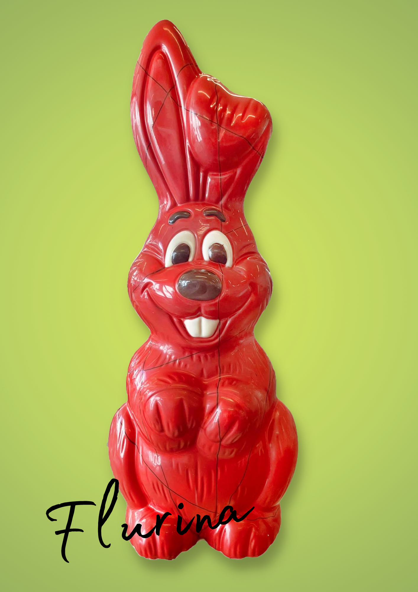 Bunter Riesenosterhase 3kg / 64cm